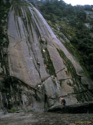 Scott and the Gutenberger Wall