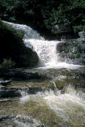 Nice waterfall near the gunks