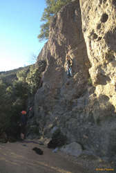 Jess climbing at Mt St Helena