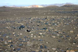 Obsidian fields
