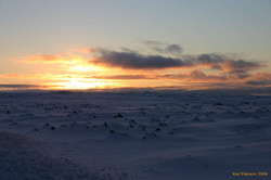 Snow covered lava fields into the sunset