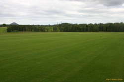 The green green grass of twin view turf
