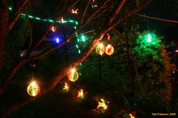 Carina Christmas lights