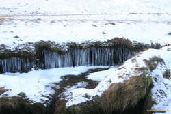 Icicles by the creek