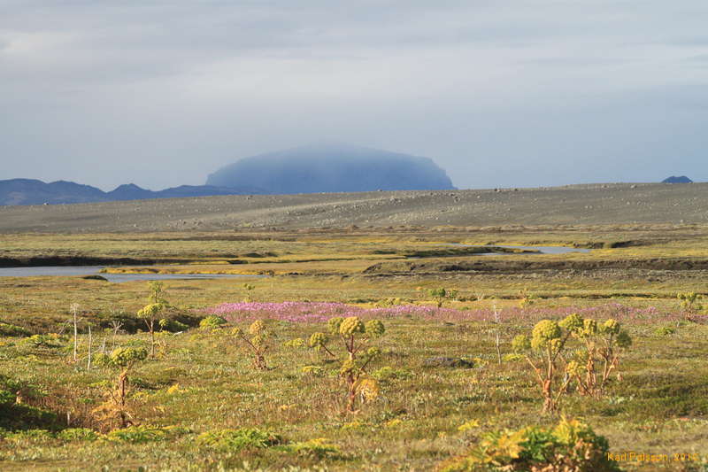 Hvann and Eyrarrós, looking towards Herðubreið