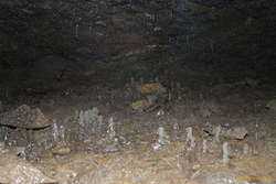 Some nice stalagmites