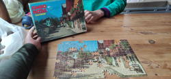 We did a jigsaw puzzle.  Only 20 pieces missing.