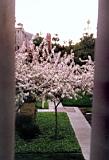 rsa-spring-03.JPG