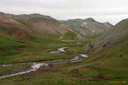 A meandering brook
