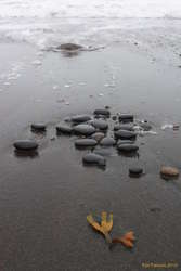 Rocks on the beach at Húsavík