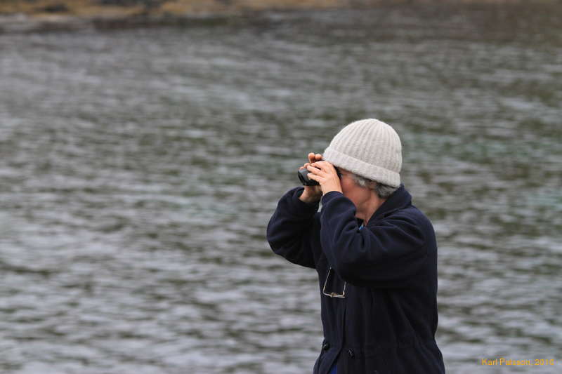 Mum the birdwatcher