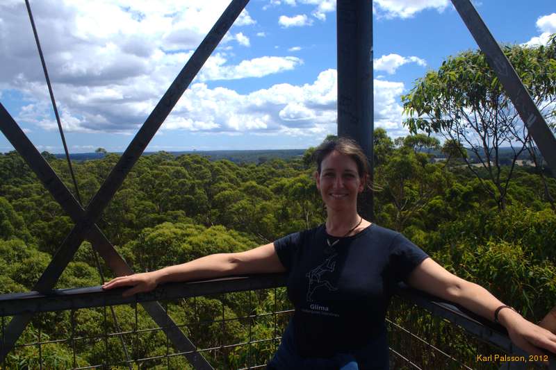 Steph on top of the forest at the Gloucester Tree