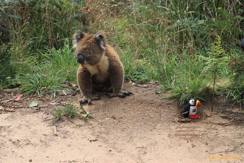 Lulli meets a friend