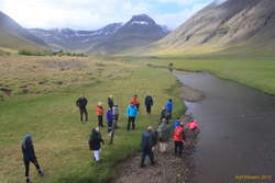 Walk in Haukadalur for Gisli's Saga