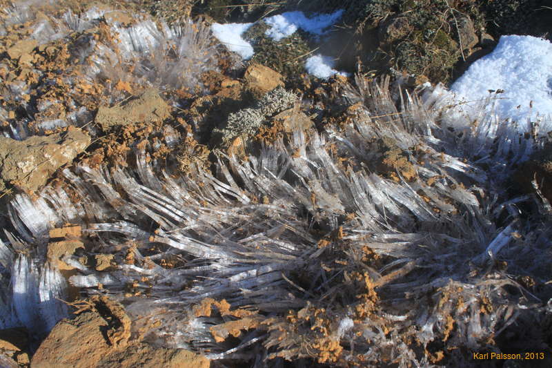 Awesome grass ice